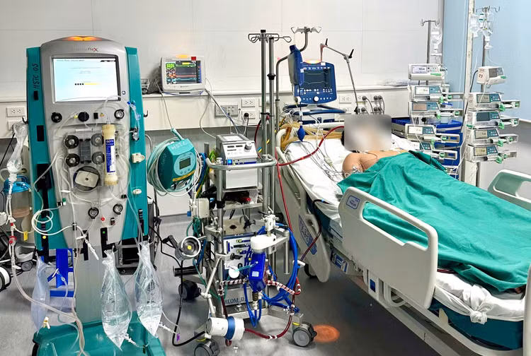 Sốt xuất huyết có thể chuyển nặng khi vừa hạ sốt: Cảnh báo từ ca phải can thiệp ECMO