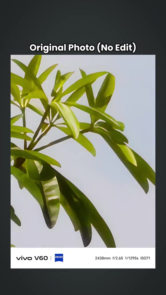 Sampel foto tumbuhan yang dipaparkan sebagai hasil kamera vivo V60