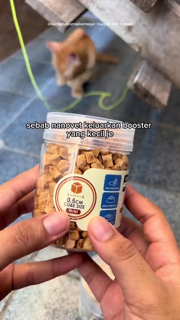 NanoVet Freeze Dried Salmon Cube: Snek Kucing atau Umpan Selera?