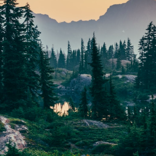 Sarah Kitchen