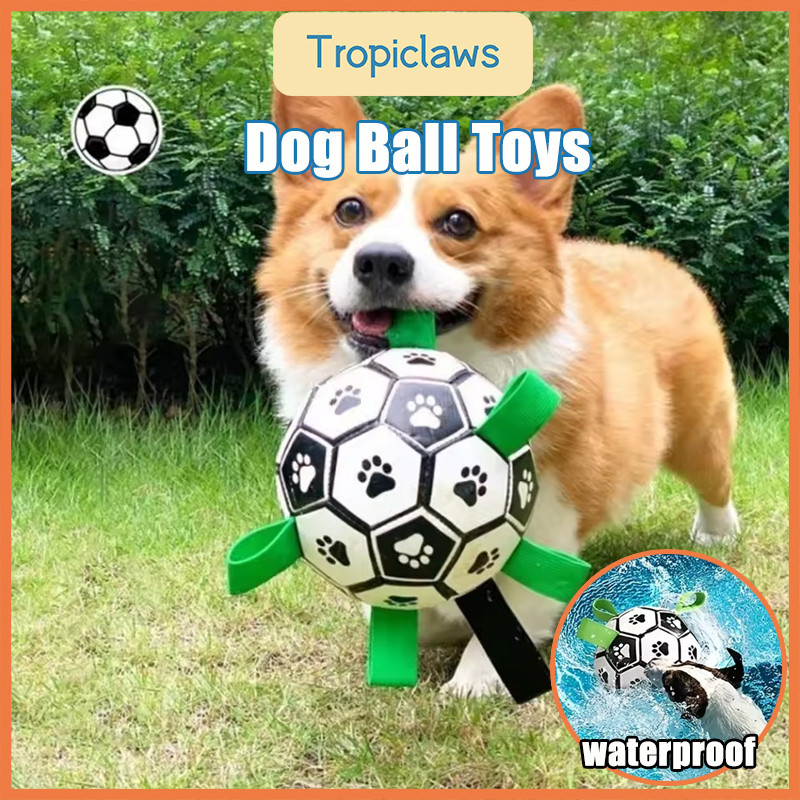 Lowest Price Ever Dog Ball Toy