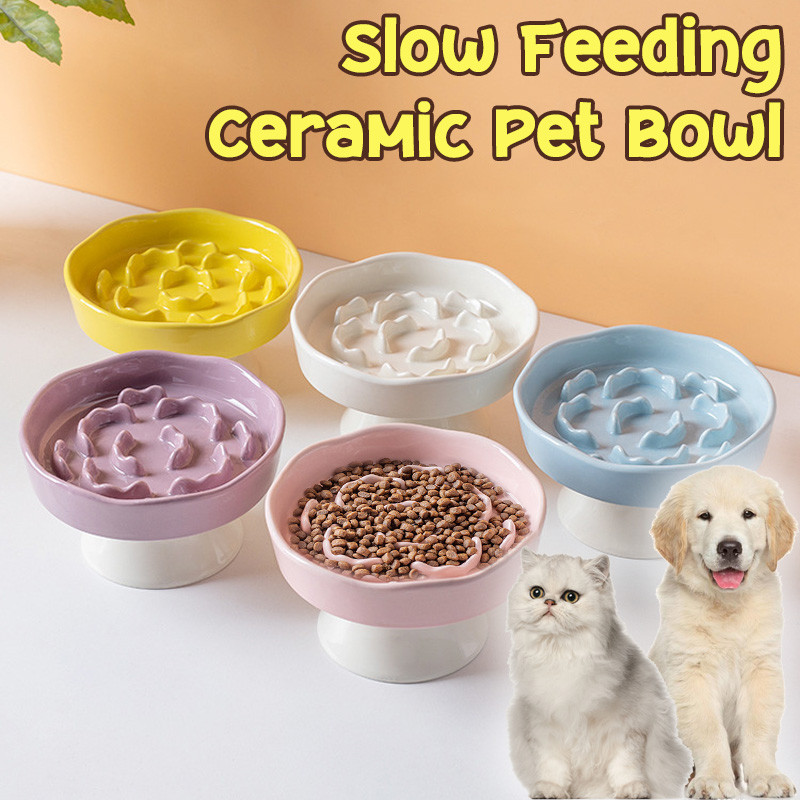 63% Off Ceramic Slow Pet Bowl