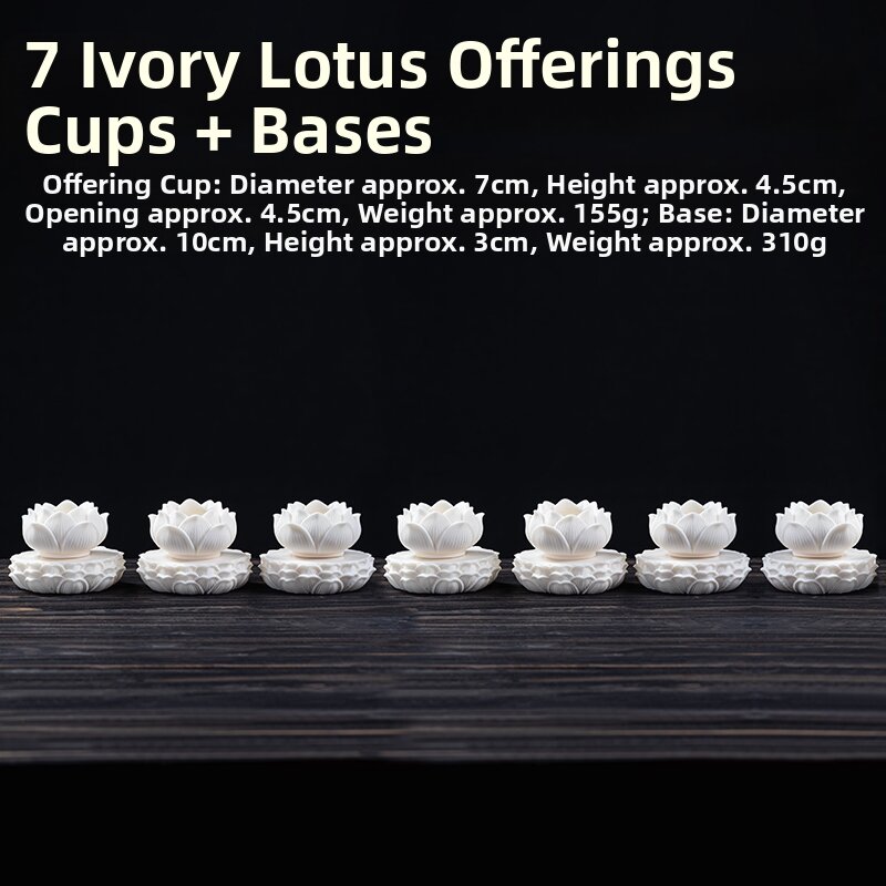 10% Price Drop Lotus Water Cup