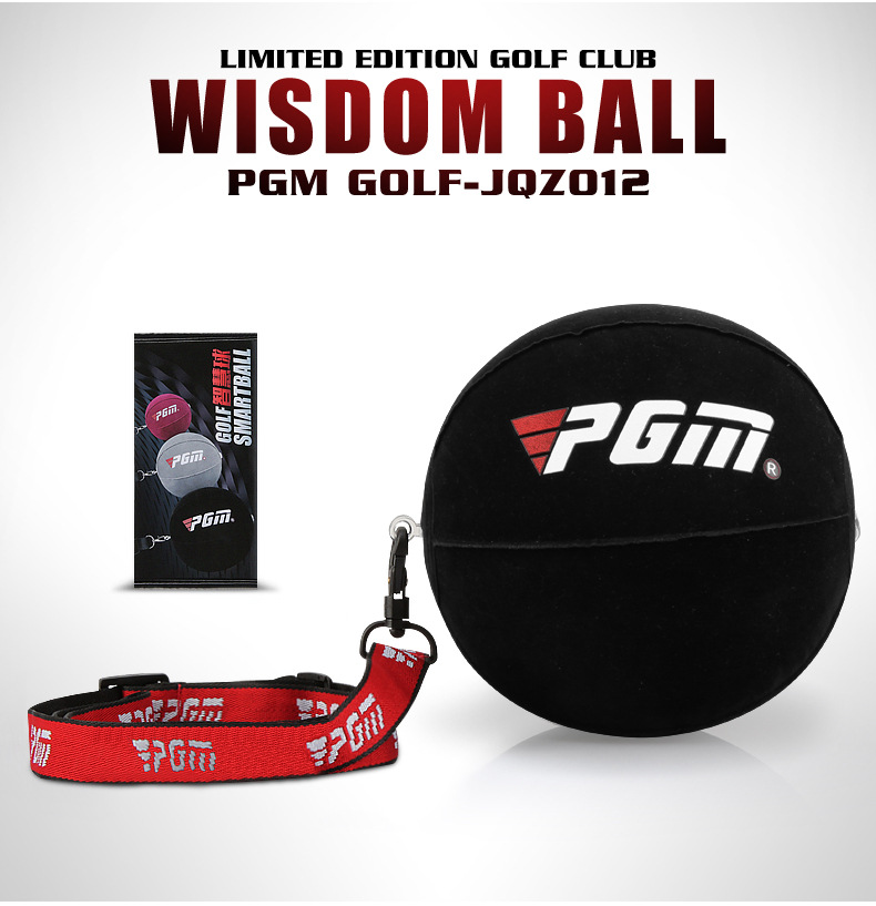 15% Price Drop Golf Smart Ball