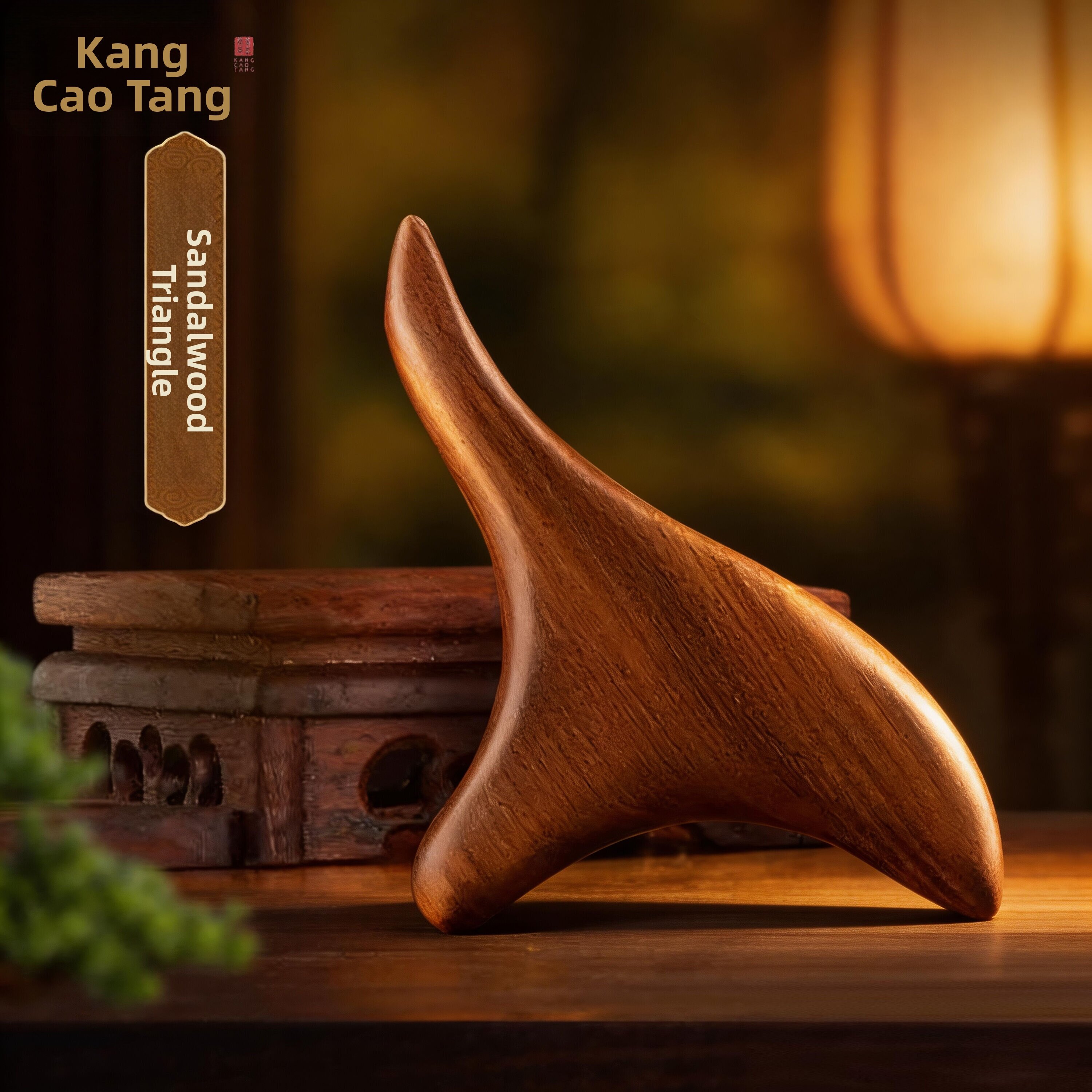 20% Price Drop Massage Comb