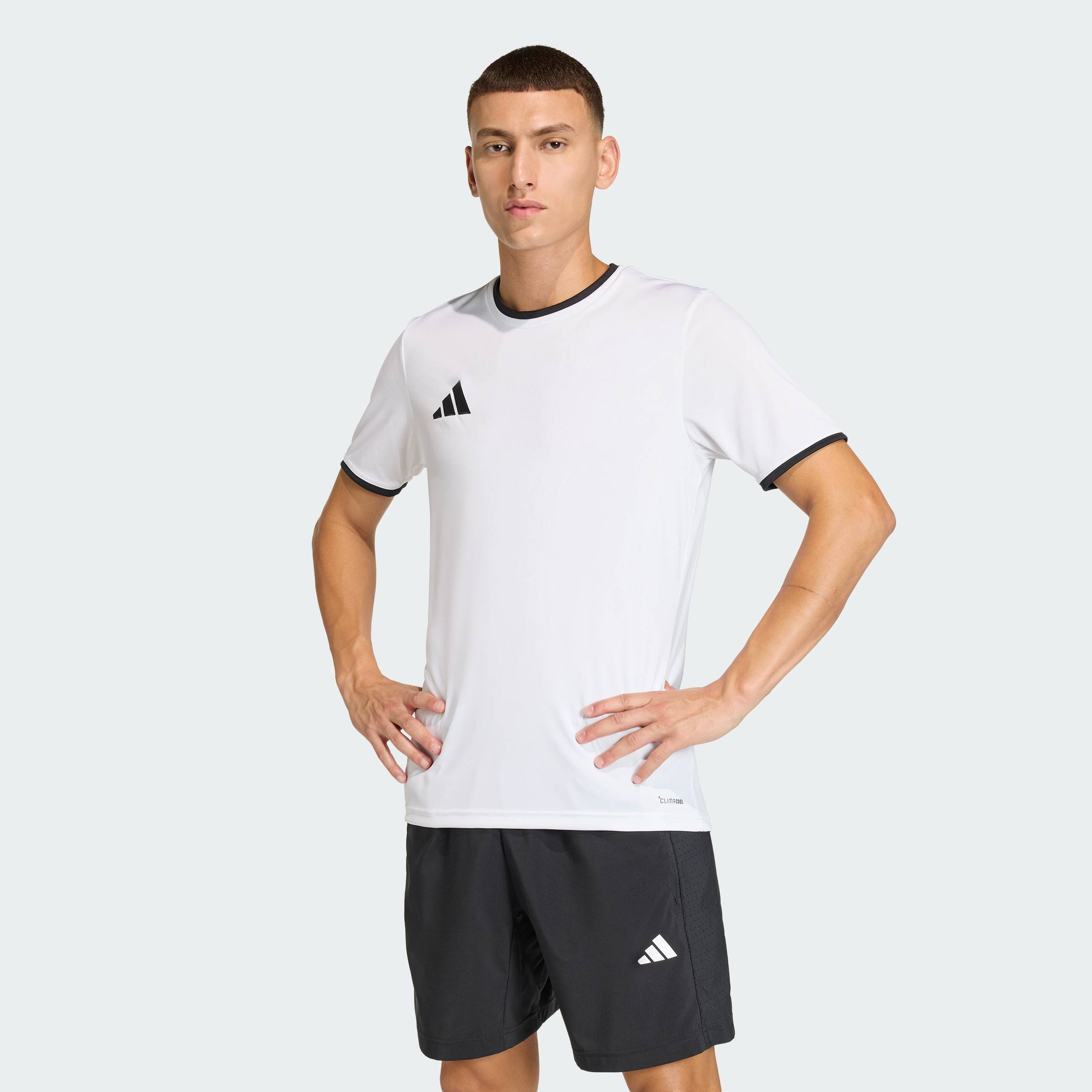25% Drop: adidas Entrada26 Jersey