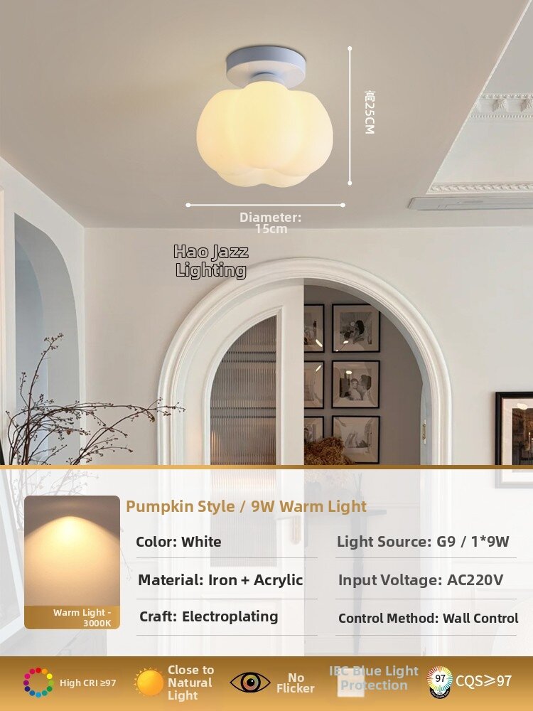 34.5% Drop: Modern Ceiling Light