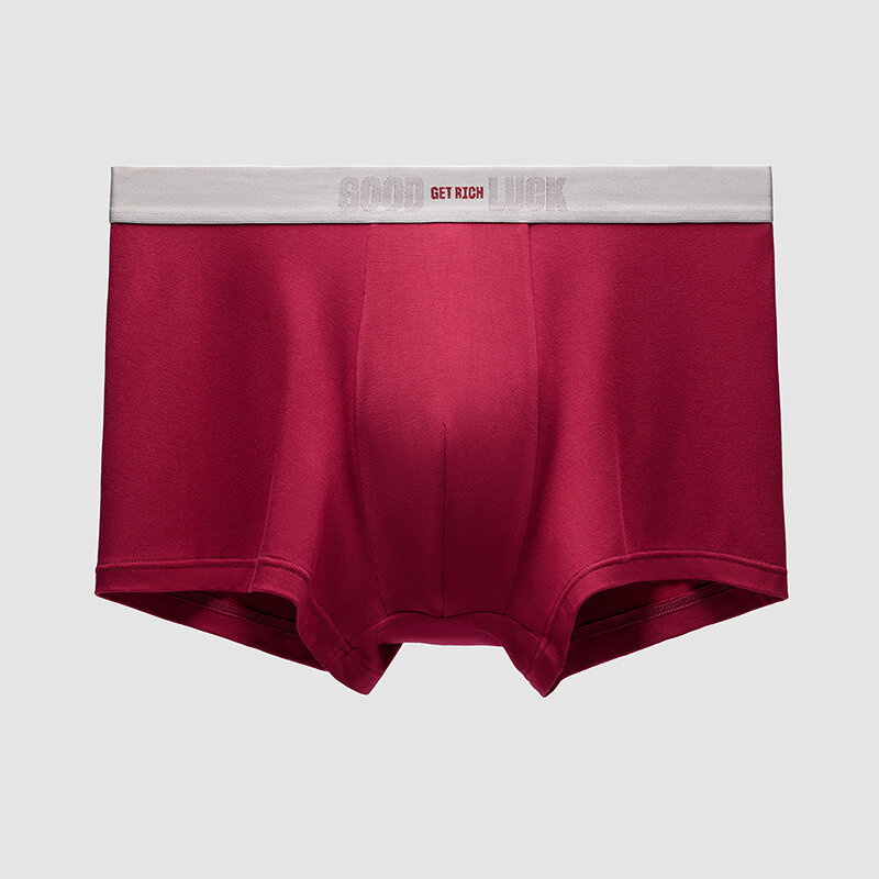 35% Drop: ANTA Men Sports Underwear