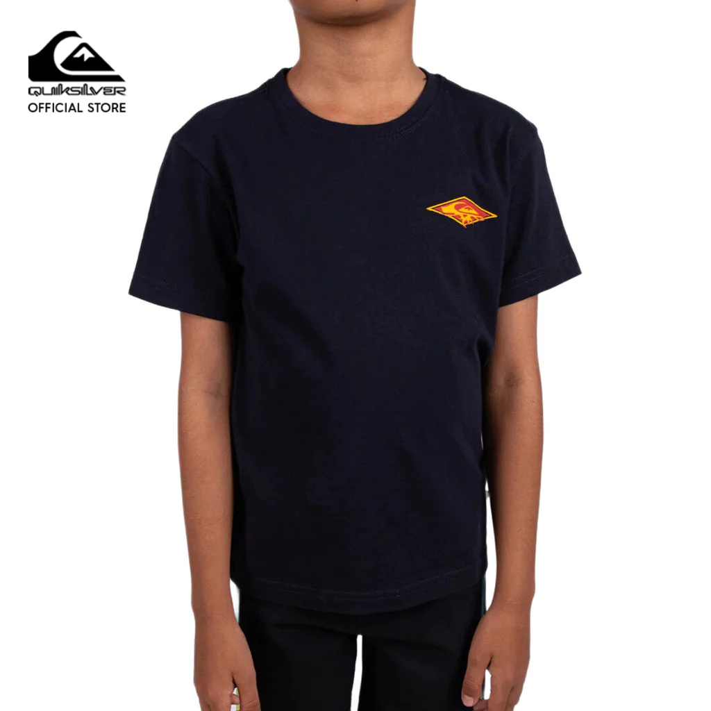 39% Drop: Quiksilver Boys Tee