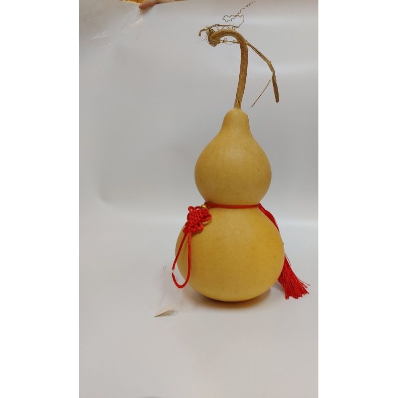 LARGE Wulou Real Large Wulou Giant Wulou Fengshui Large Natural WuLou Large Holy Gourd Large Natural