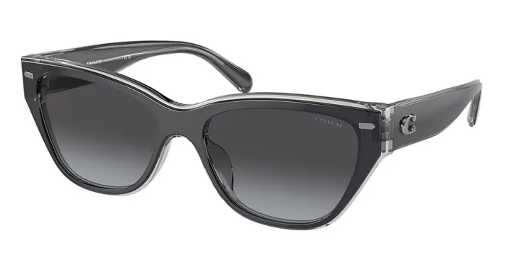 Coach HC8370U CH570 Asian Fit 57458G New Women Sunglasses | Lazada Malaysia
