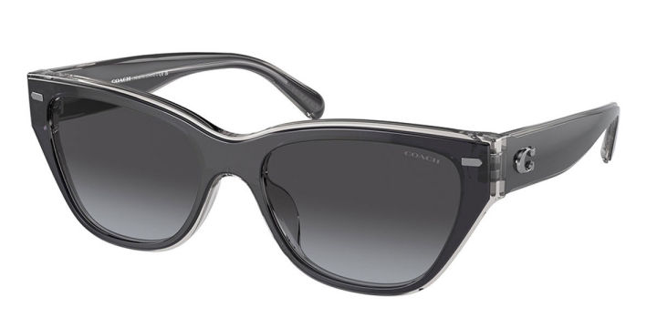 Coach HC8370U CH570 Asian Fit 57458G New Women Sunglasses | Lazada Malaysia