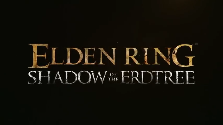 ELDEN RING with Shadow of the Erdtree Premium Bundle v1.12 / 1.12.1 All DLCs Bonus - PC OFFLINE | Lazada Malaysia