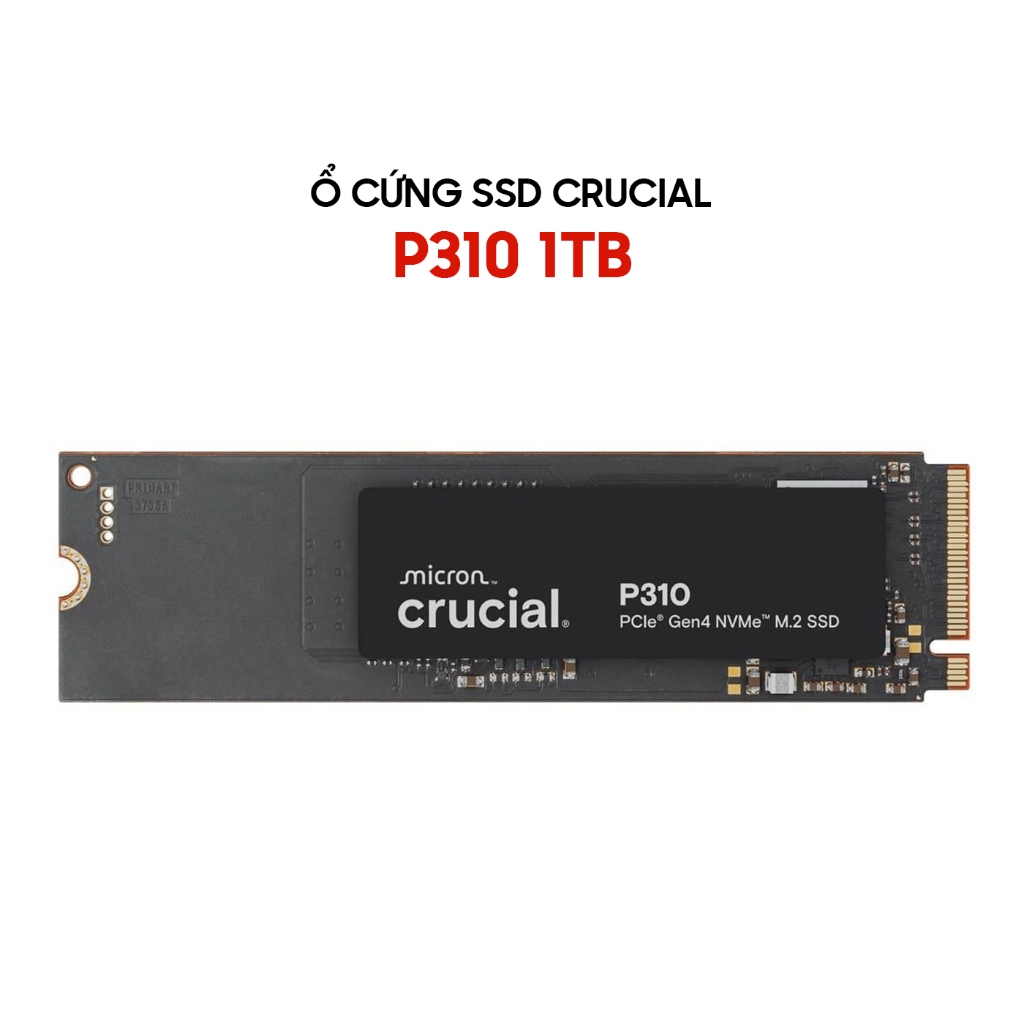 Ổ cứng SSD Crucial P310 CT1000P310SSD8 1TB / CT500P310SSD8 500GB PCIe Gen4 NVMe M.2 2280 | Shopee Việt Nam