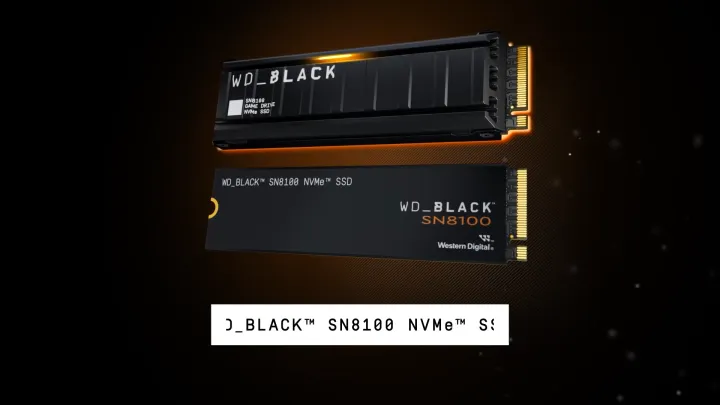 WD_BLACK™ SN8100 NVMe™ Internal SSD (1TB/ 2TB/ 4TB) | Lazada Malaysia