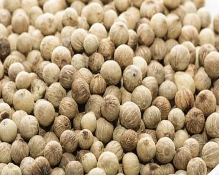 Lada putih /White pepper (100g/250g/500g) | Lazada Malaysia