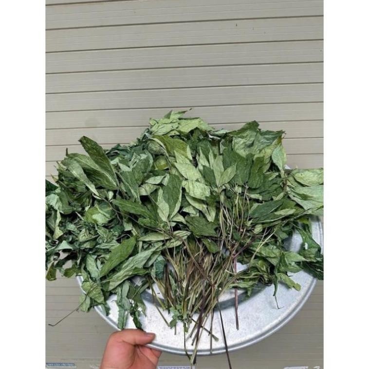 lá sâm ngọc linh khô | Shopee Việt Nam