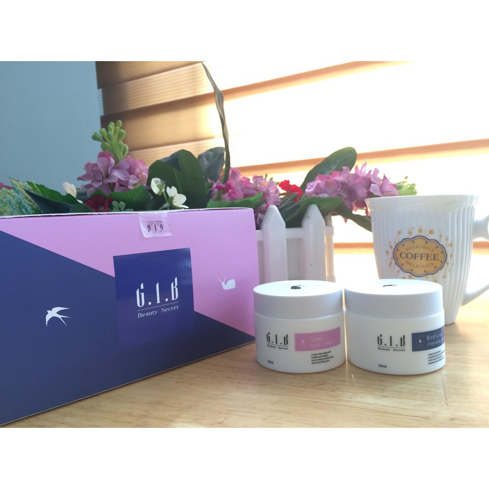 BỘ KEM DƯỠNG DA BIRD'S NEST INTENSIVE CREAM và SNAIL REPAIR CREAM G.I.B | Shopee Việt Nam