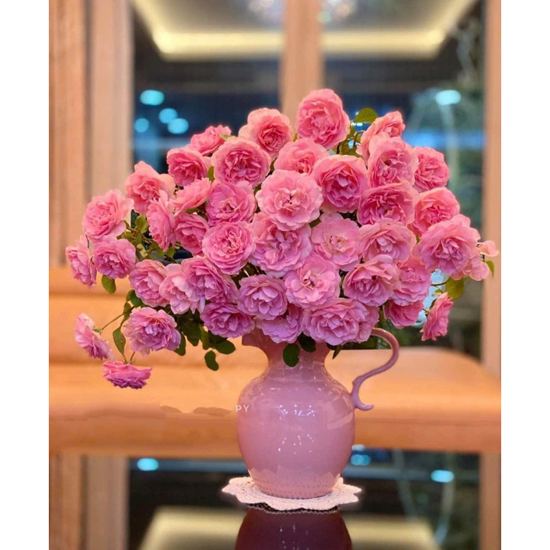 Lọ hoa gốm bình sữa thiên nga | Shopee Việt Nam