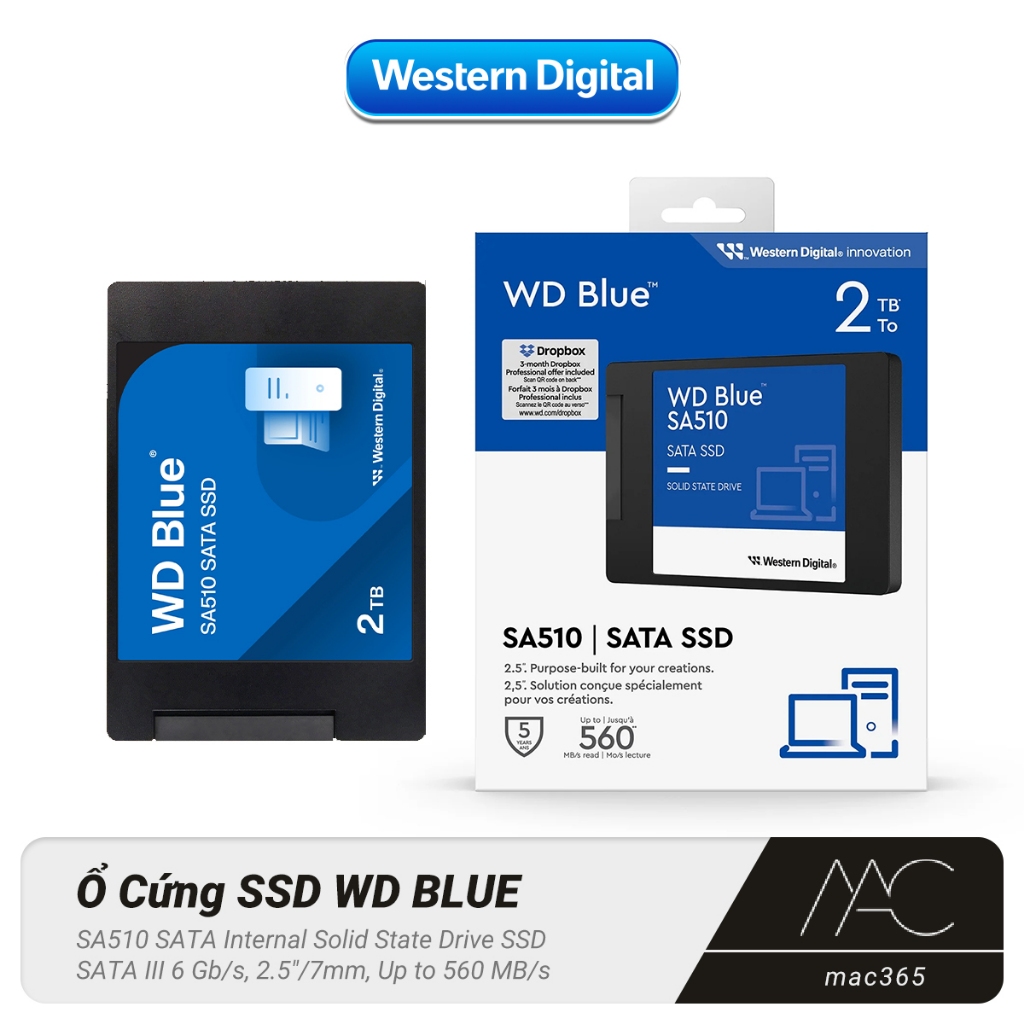 SSD WD Blue SA510 2TB SATA III Chính Hãng – Tốc Độ Cao 560MB/s, Chuẩn 2.5", Cho Laptop & PC - Mac365 | Shopee Việt Nam