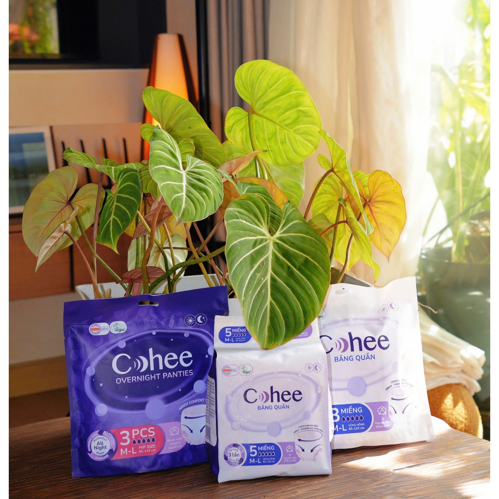 (Chính hãng) COHEE - Băng Vệ Sinh dạng Quần Cohee an toàn cho mọi loại da | Shopee Việt Nam