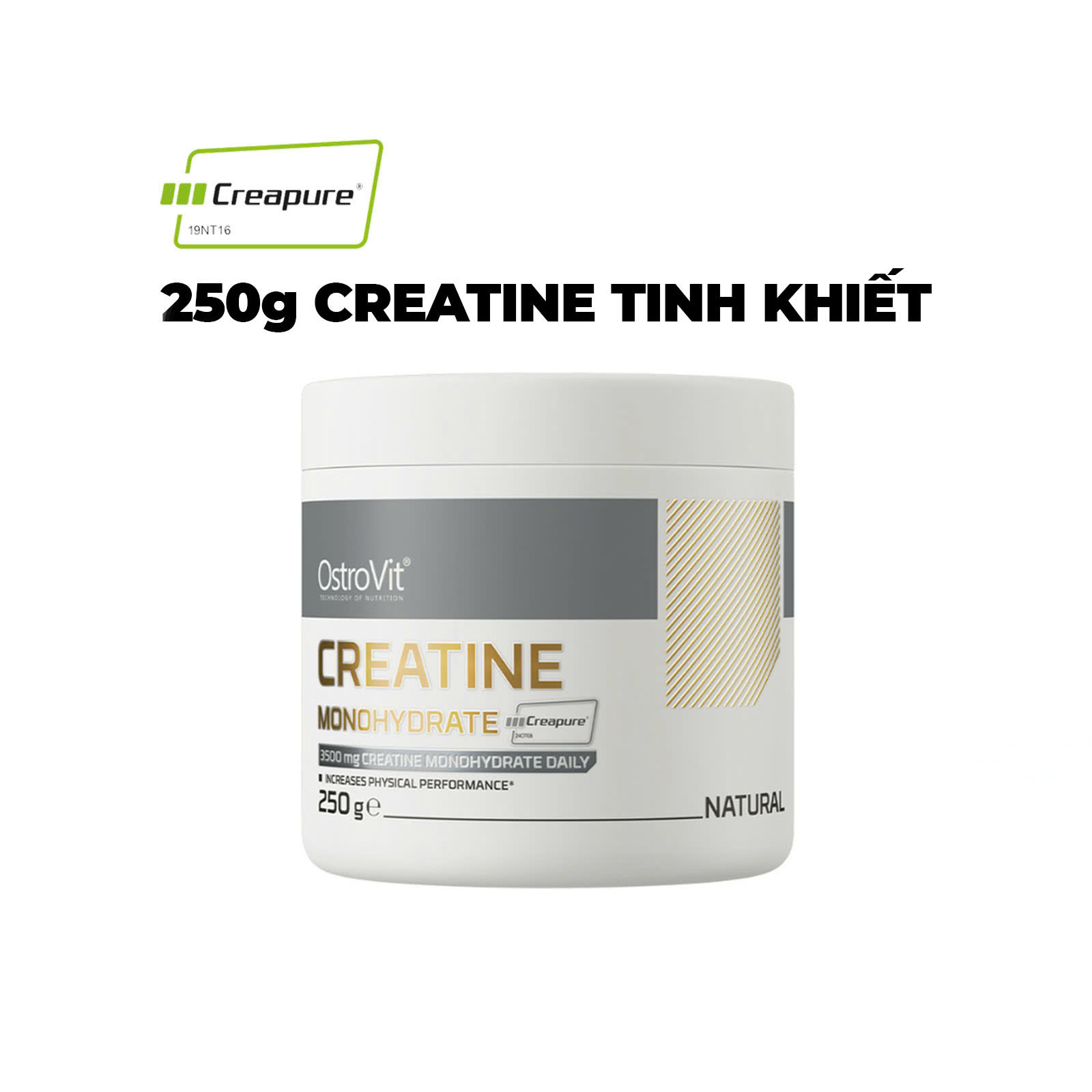 OstroVit Creatine Monohydrate Creapure (250g) - Giải Pháp Tăng Cơ Toàn Diện