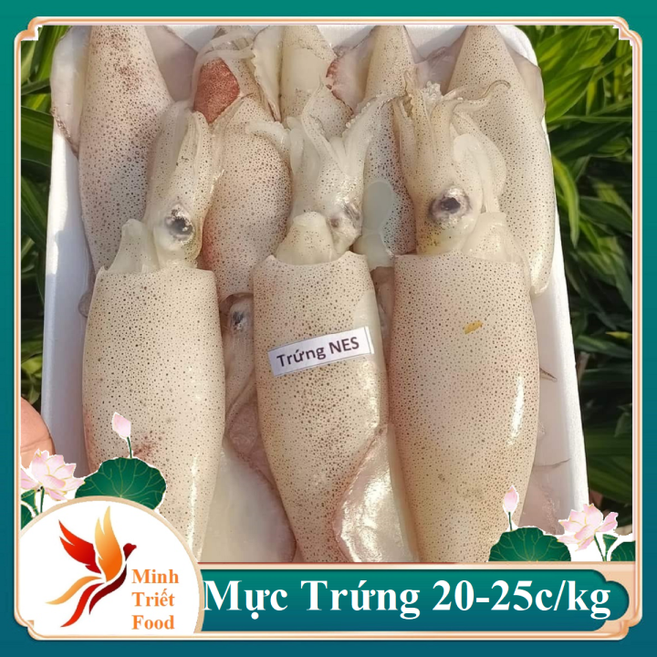 1kg Mực Trứng Tươi Size 20-25 con – Mực Ống Trứng -Đặc Sản Minh Triết | Lazada Việt Nam