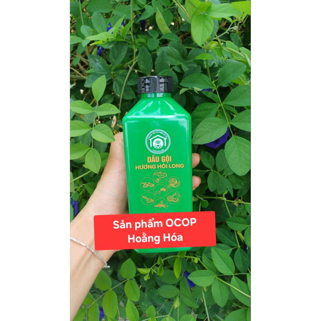 Dầu gội Hương Hồi Long - Dầu gội chùa Hồi Long | Shopee Việt Nam