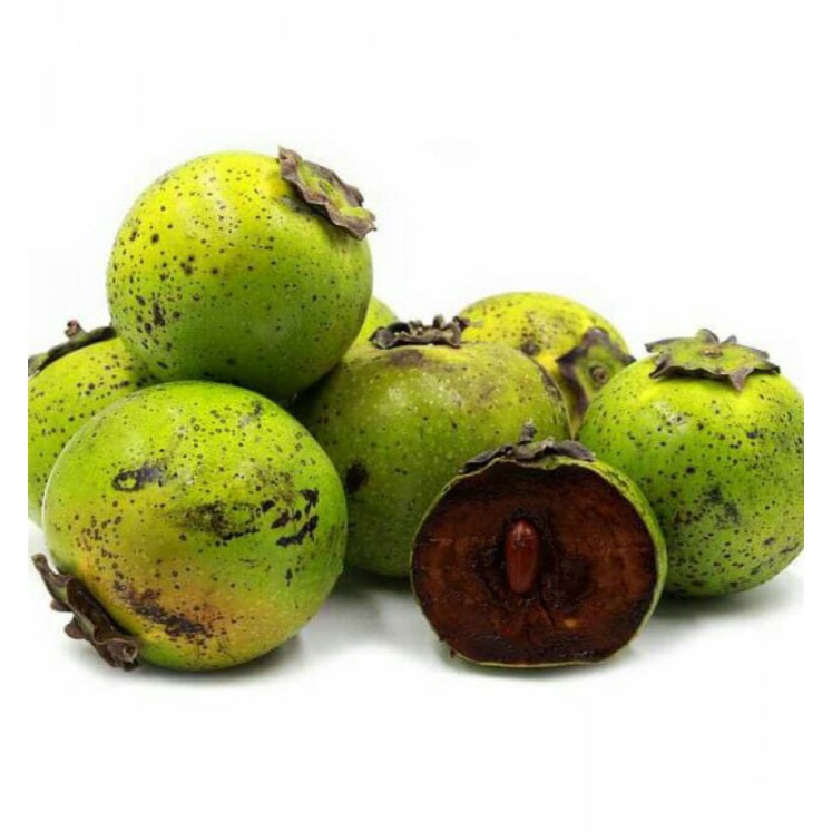 Cây Hồng Chocolate ( Black Sapote ) | Shopee Việt Nam
