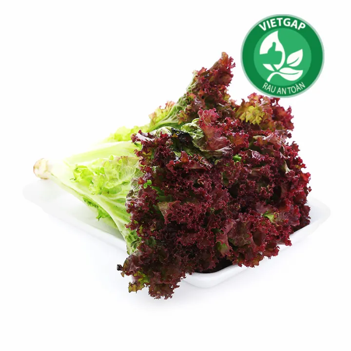 [Siêu thị WinMart] - Xà lách lolo tím WinEco gói 300g | Lazada Việt Nam